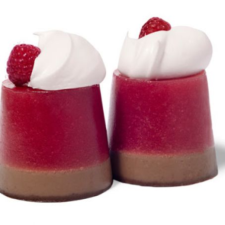 Raspberry-Chocolate Gelatin