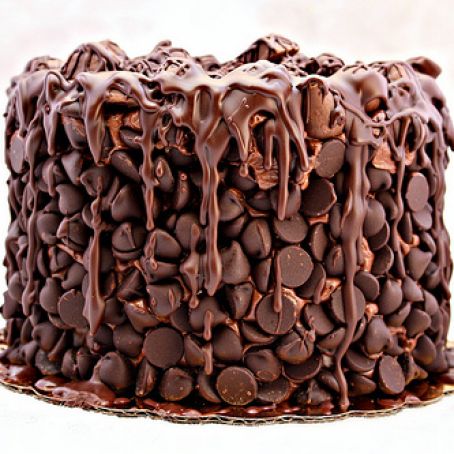 CAKE - Chocolate Wasted Cake