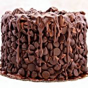 CAKE - Chocolate Wasted Cake