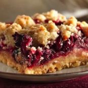 Cranberry Crumb Bars