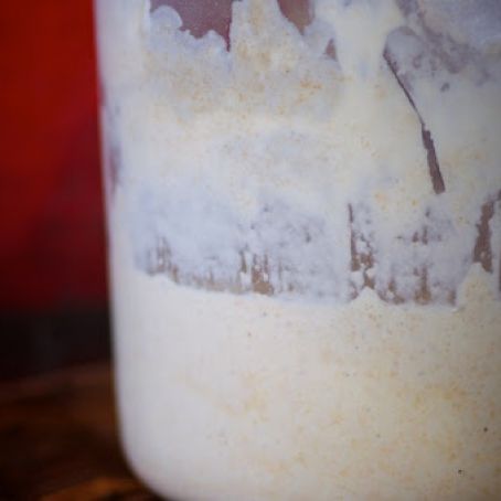 Sourdough Starter