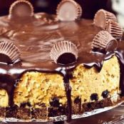 Peanut Butter Cup Cheesecake