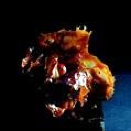 Chocolate and Pink Pepper Scarf