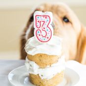 Coconut-Honey Doggie Cake