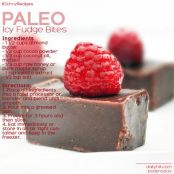 Paleo Icy Fudge Bites