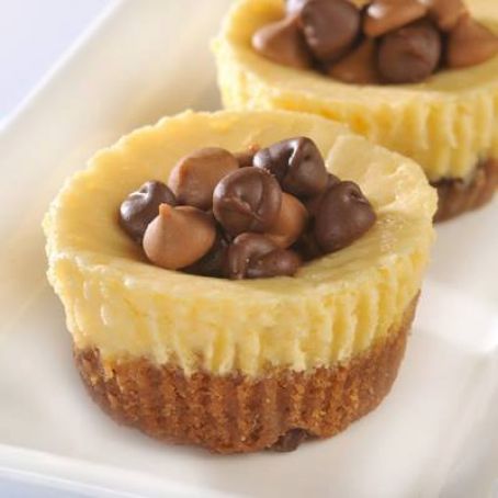 Peanut Butter & Chocolate Chip Cheesecake Cookie Cups