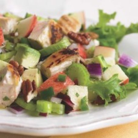 Crunchy Sweet Apple Chicken Salad - all cycles