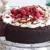 Double-Chocolate Treasure Cake