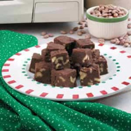 2004 Surprise Chocolate Fudge