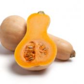 Butternut Squash and Parmesan Dip