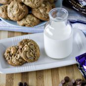 COOKIES - Chocolate Macadamia Cookies