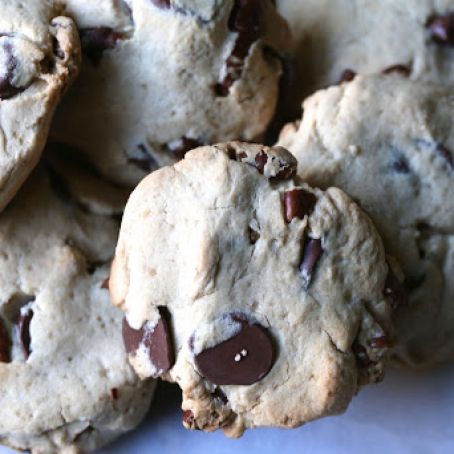 Paleo TEXAS PECAN + CHOCOLATE CHIP SHORTBREAD