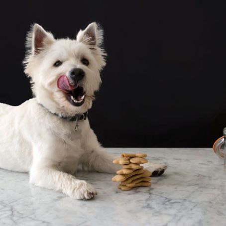 Peanut Butter Dog Biscuits