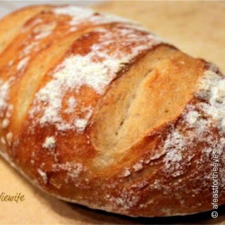 Healthy Bread in Five Minutes a Day Master Recipe
