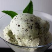 Mint Chocolate Chip Ice Cream