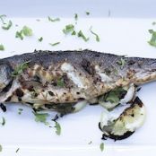 Grilled Branzino
