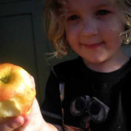 CHERRY APPLE STRUDEL