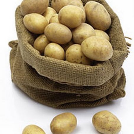 Out-of- This-World Scalloped Potatoes