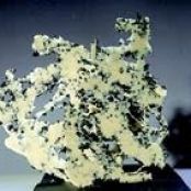 White Chocolate with Black Olive