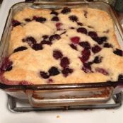 Blackberry Cobbler, Best in Show