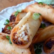 Taquitos with Avocado Dipping Sauce