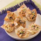 2007 Turkey Wonton Cups