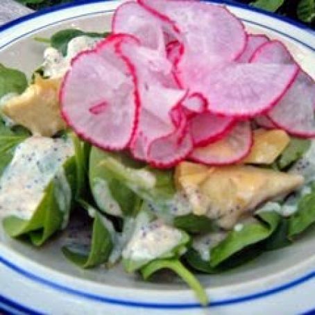 Bryanna's Low-fat Poppyseed Dressing