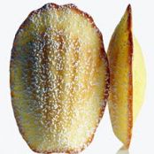 Lemon Madeleines