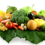 The Prehistoric Diet Plan