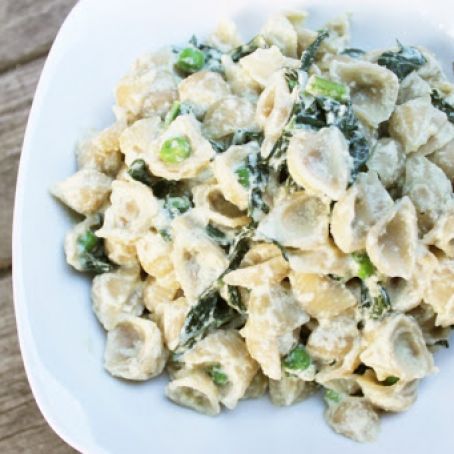 Recipe MonsterCreamy Pumpkin Seed Alfredo With Kale and Sweet Peas [Vegan]Renee Press October 23, 2014 26 Comment