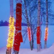 Design - Wrap a tree