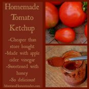 Homemade Ketchup Recipe