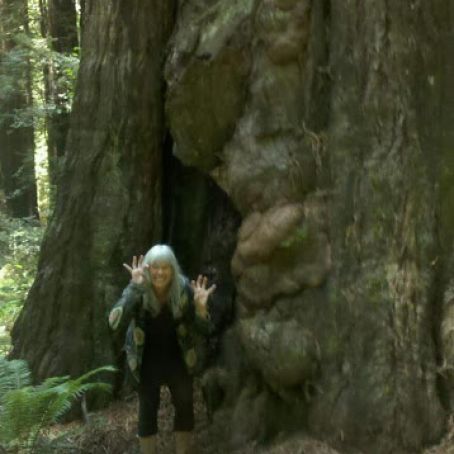 NO BAKE PEANUT BUTTER CHOCOLATE BARS