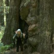 NO BAKE PEANUT BUTTER CHOCOLATE BARS