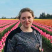 Slow Cooker Golden Chicken