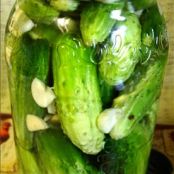 Easy Refrigerator Kosher Garlic-Dill Pickles