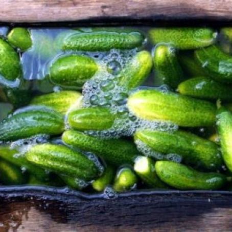 Spreewälder Sautéed Cucumbers (Berlin Recipe)