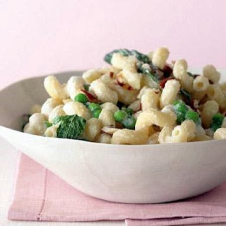 CAVATAPPI w/GARLIC & ALMOND SAUCE
