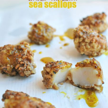 Walnut Encrusted Sea Scallops