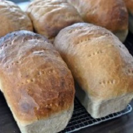 Homemade Amish White Bread