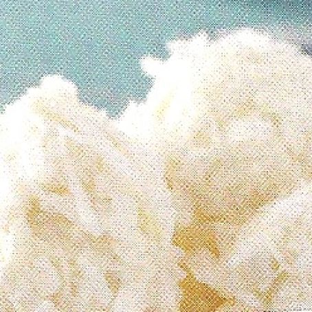 Pineapple Coconut Snowballs