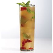 Italian Summer Sipper (100 calories)