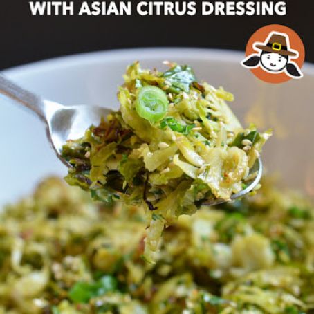 Warm Brussels Sprouts Slaw with Asian Citrus Dressing