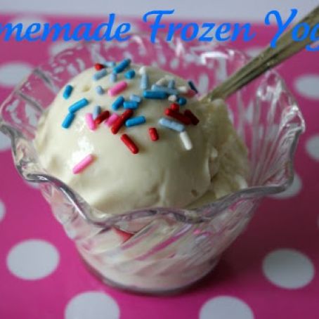 Frozen Vanilla Yogurt - Chobani
