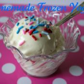Frozen Vanilla Yogurt - Chobani