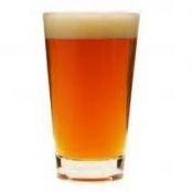 California Steam Lager