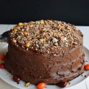 COFFEE NUT CHOCOLATE CAKE