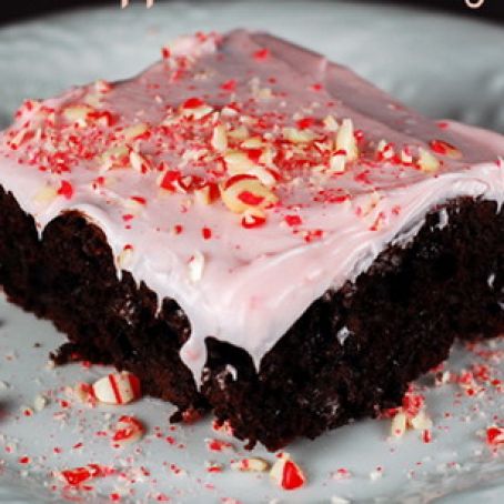 Double Chocolate Cake with Peppermint Frosting