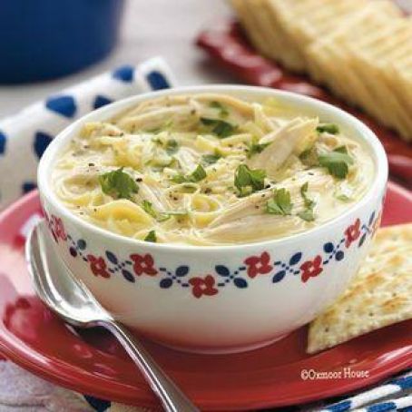 Cheesy Chicken & Noodle Soup