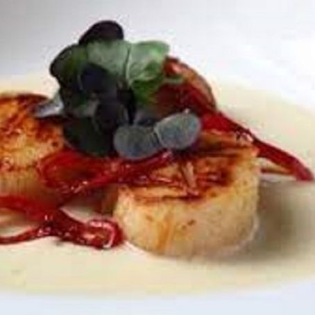 Seared Scallops on Corn Cream